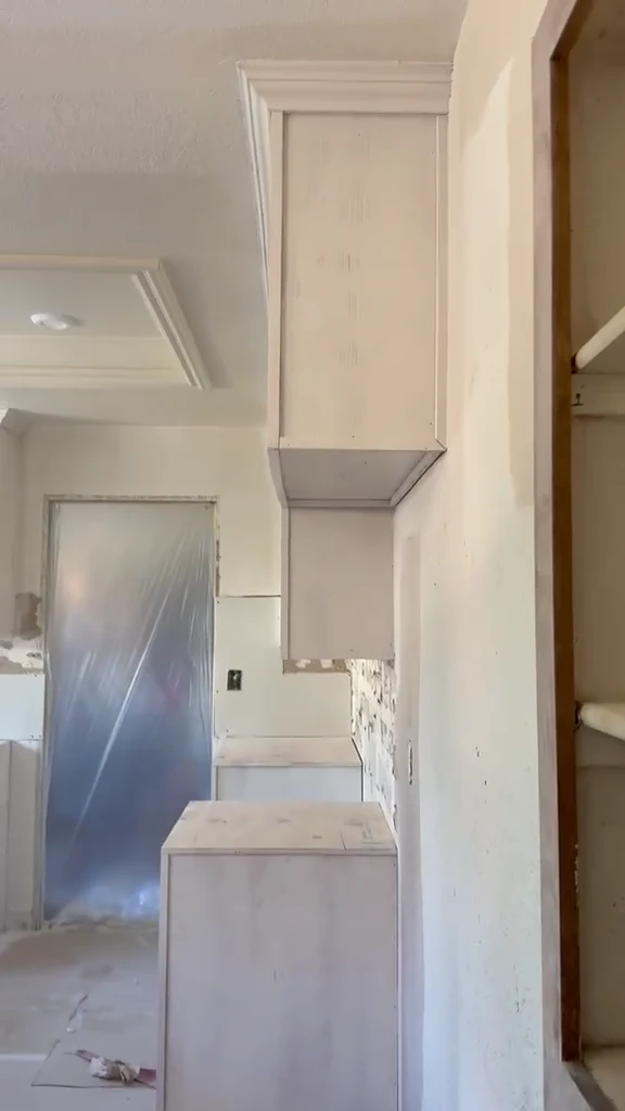 Cabinet and kitchen project