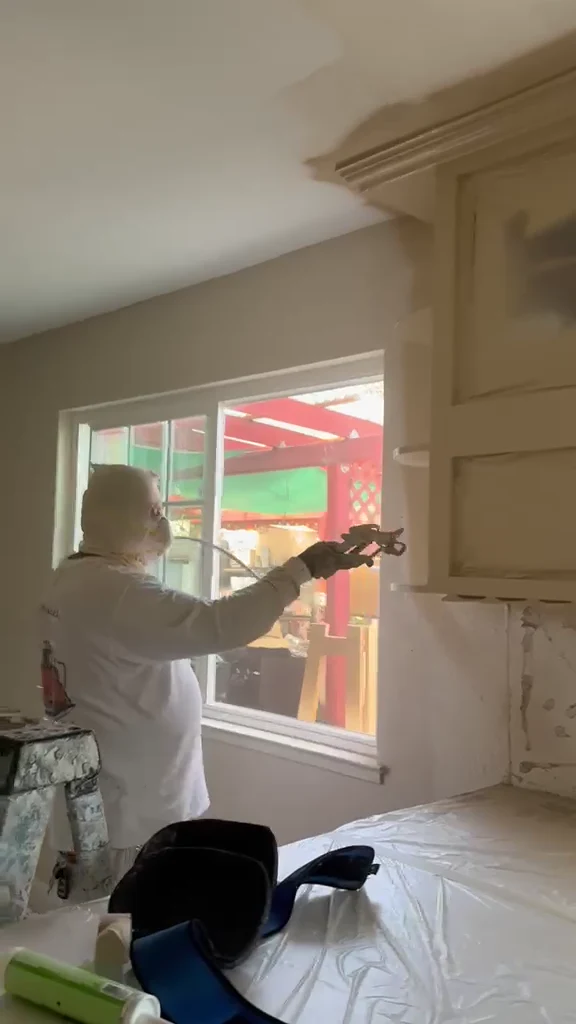 Cabinet and kitchen project