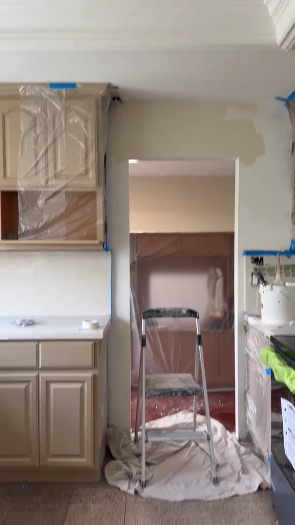Cabinet and kitchen project