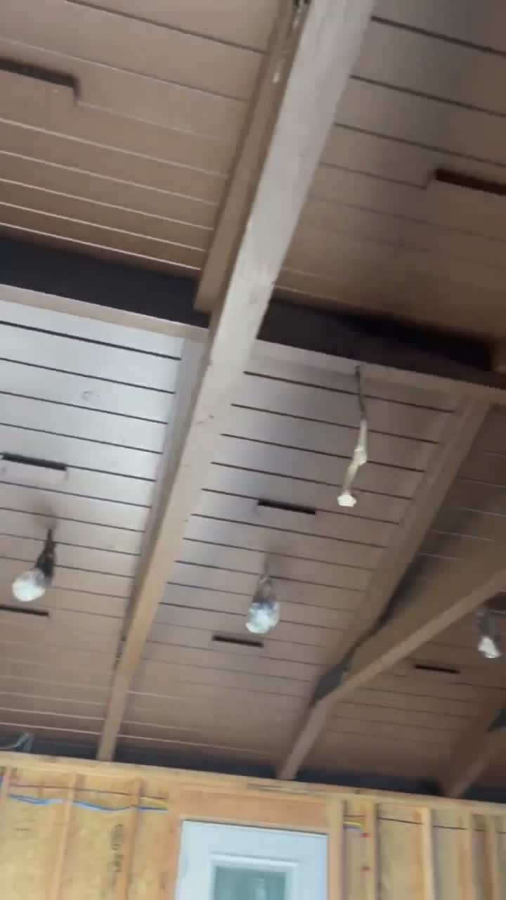 WT Painting interior project video