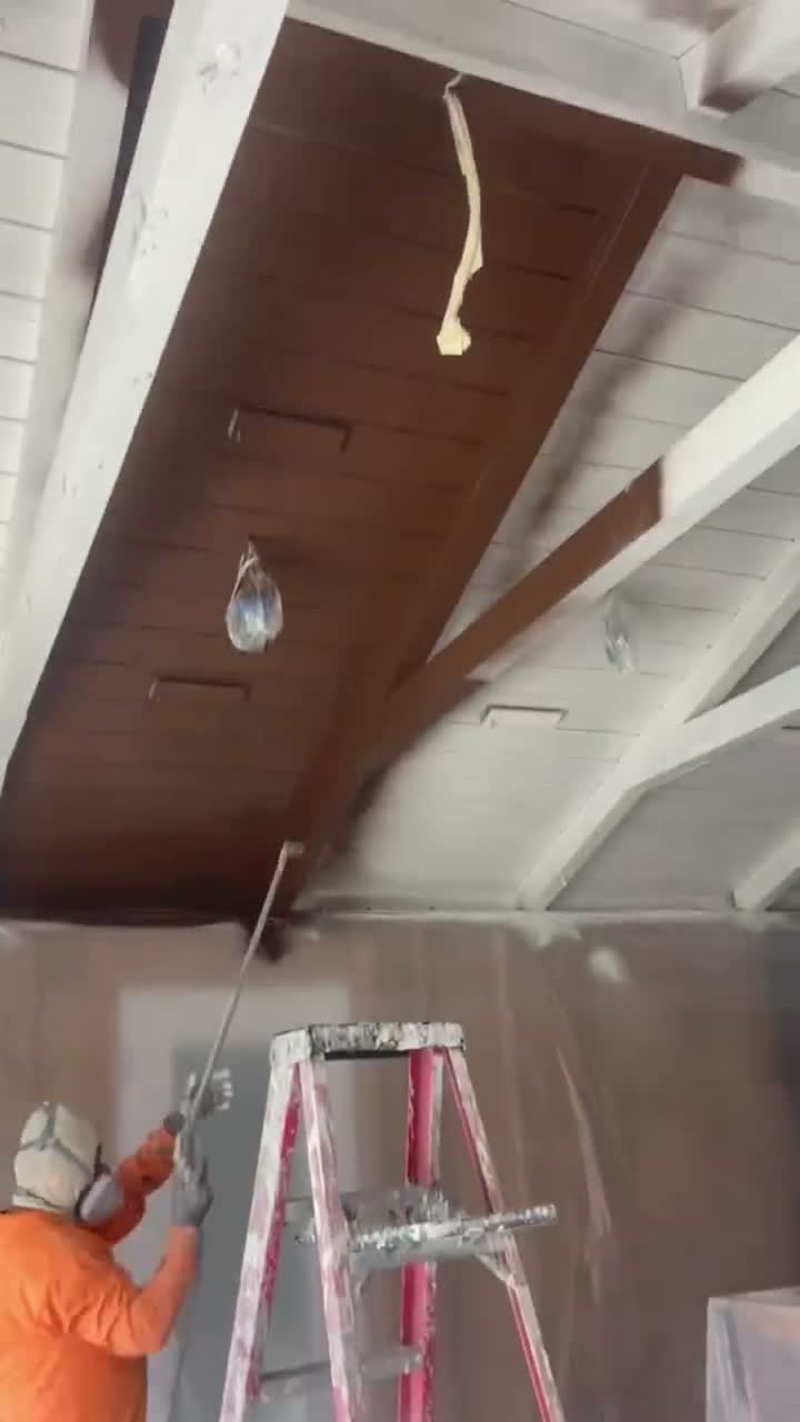 WT Painting interior project video