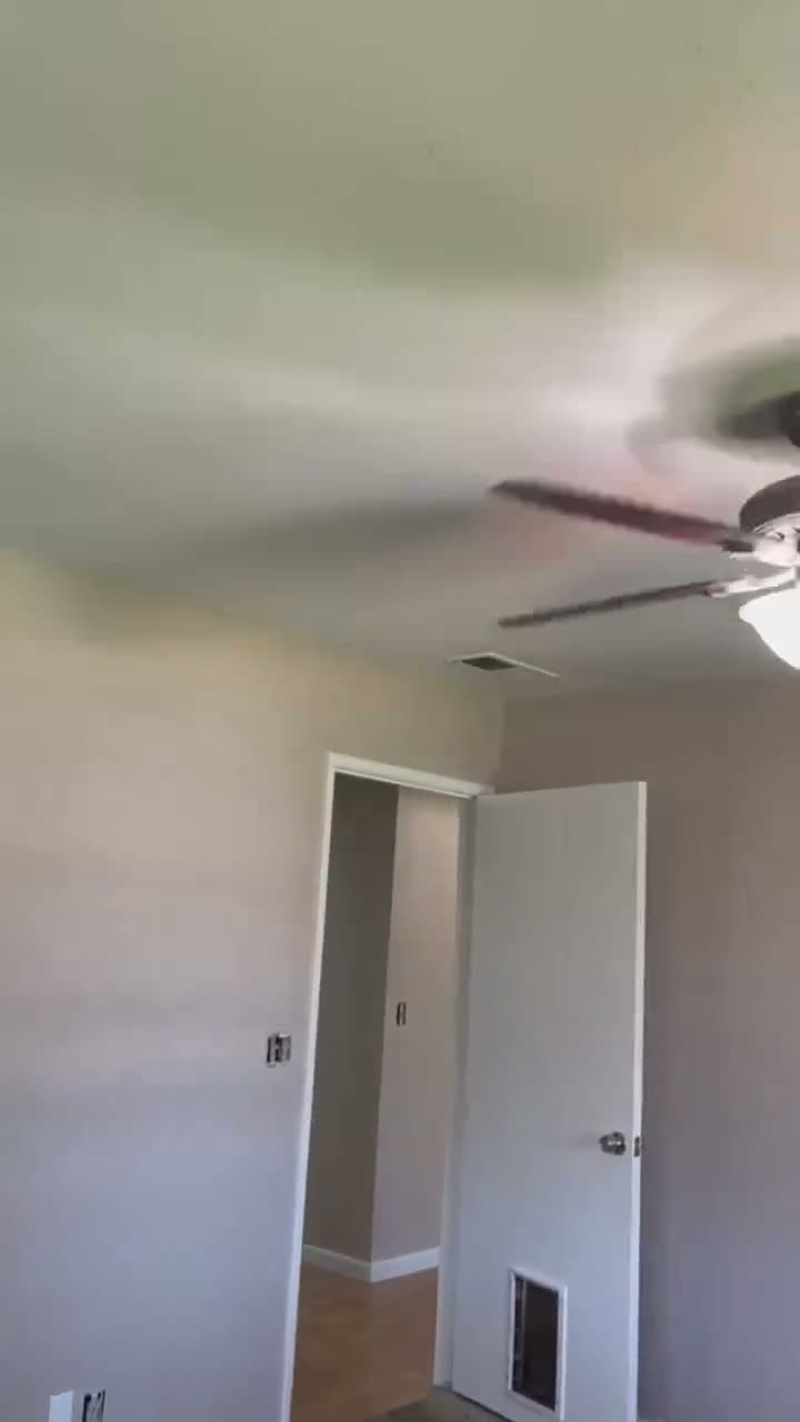 WT Painting interior project video