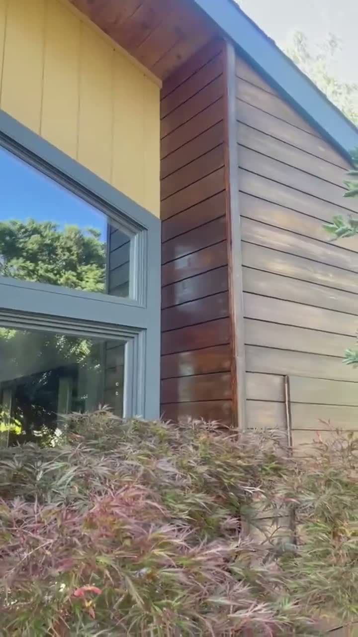 WT Painting staining project video